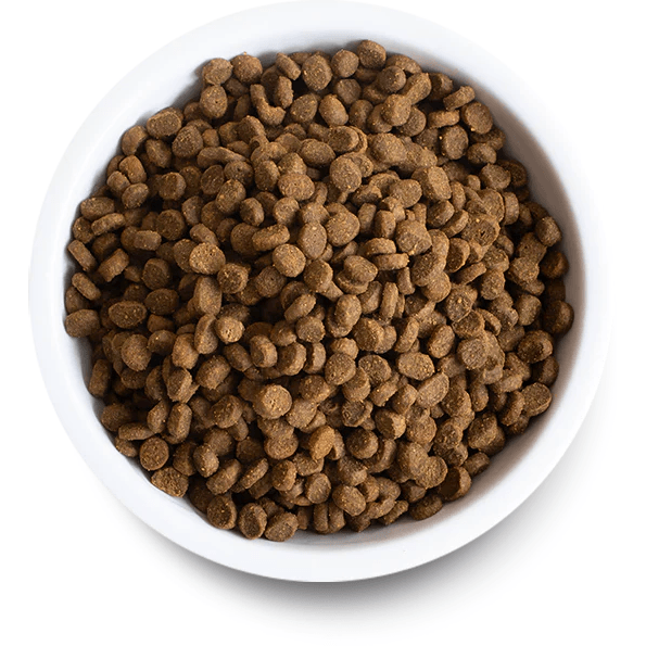 Open Farm Cat Food Pasture Raised Lamb