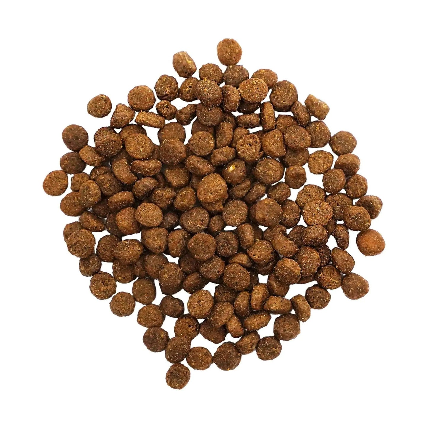 Go! Solutions Ancient Grain Digestion & Gut Health Recipe For Cats