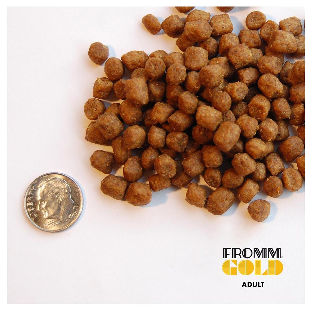 Fromm Gold Adult Cat Food